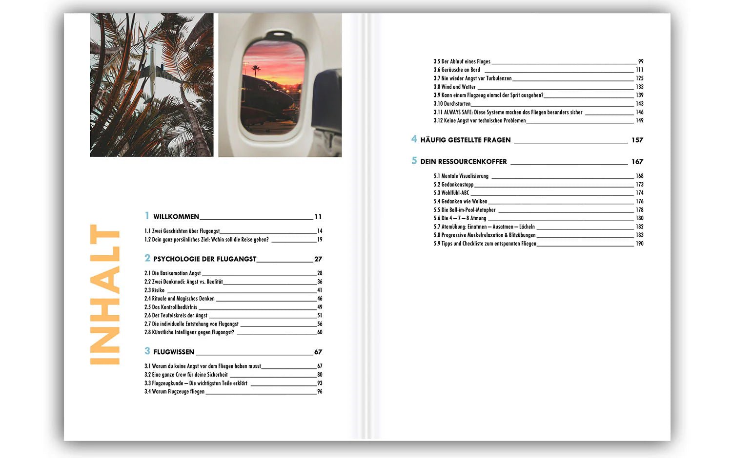 Buch Flugangst besiegen
