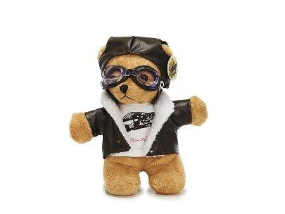 Pilotbär / Pilot Bear 24cm - Flugsimulator Münster