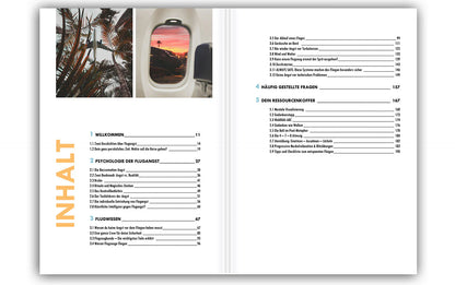Buch Flugangst besiegen