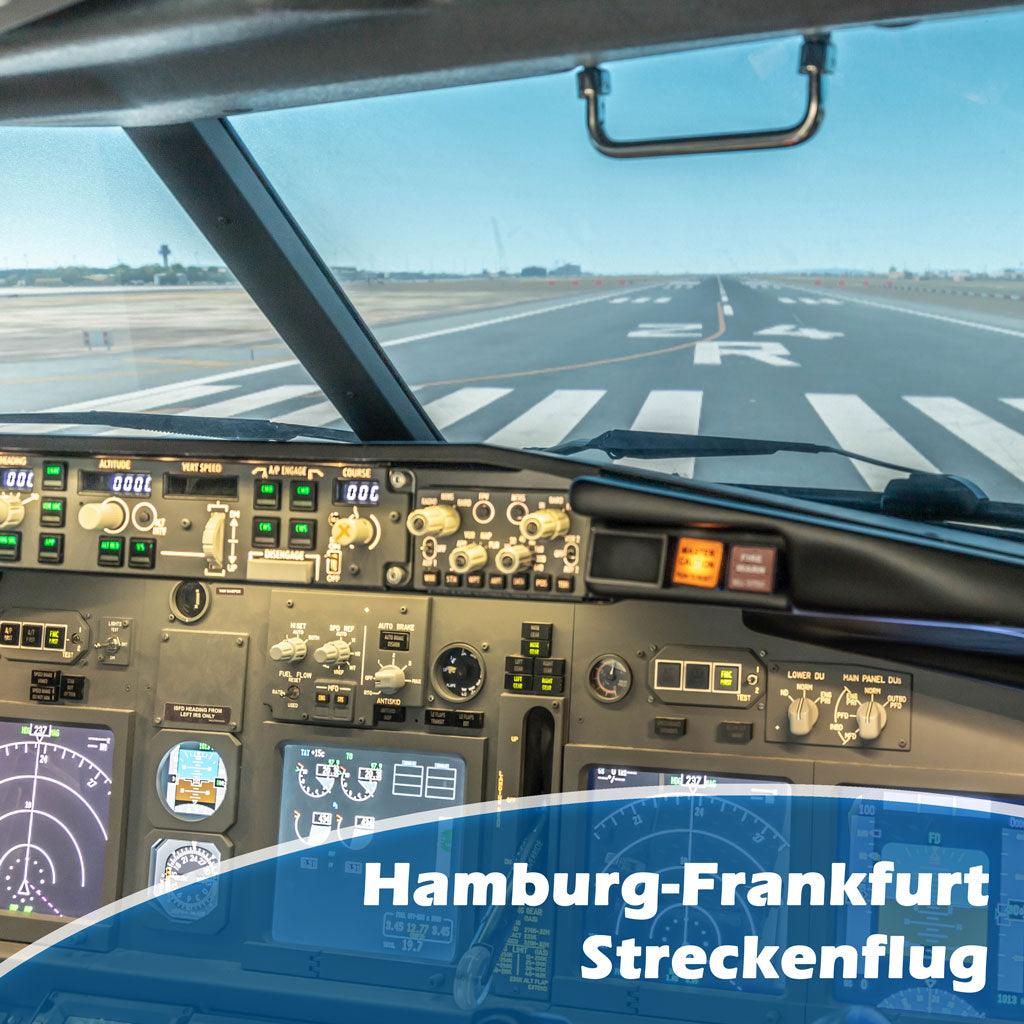 Steckenflug im Flugsimulator 