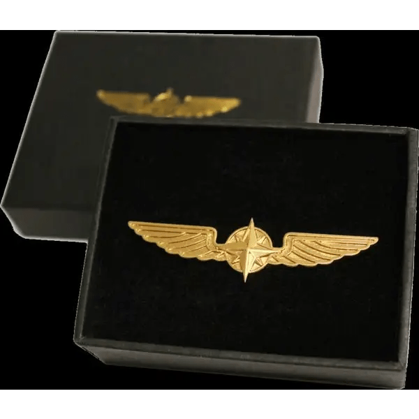 Pilot Wings groß Gold - Flugsimulator Münster
